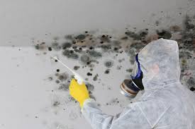 Best Biohazard Mold Removal  in Sunriver, OR